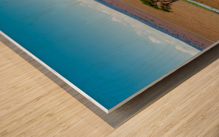 Tarangire National Park Tanzania Africa Wood print