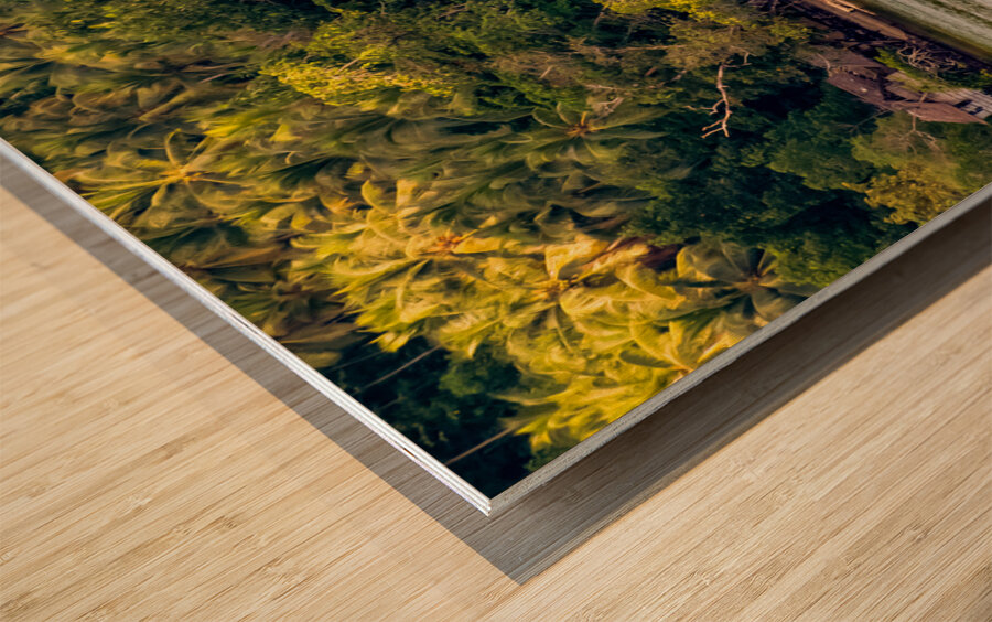 Village of honiara Wood print