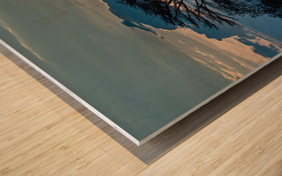 Sweetwaters Kenya Africa Wood print