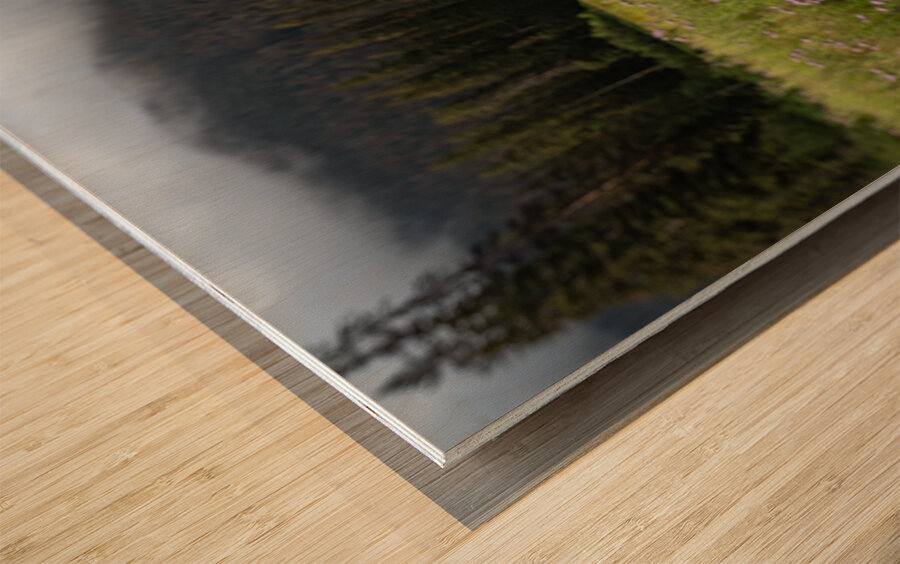 E.C Manning Provincial Park British Columbia Wood print