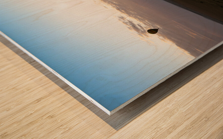 Balloons over Masai Mara Wood print