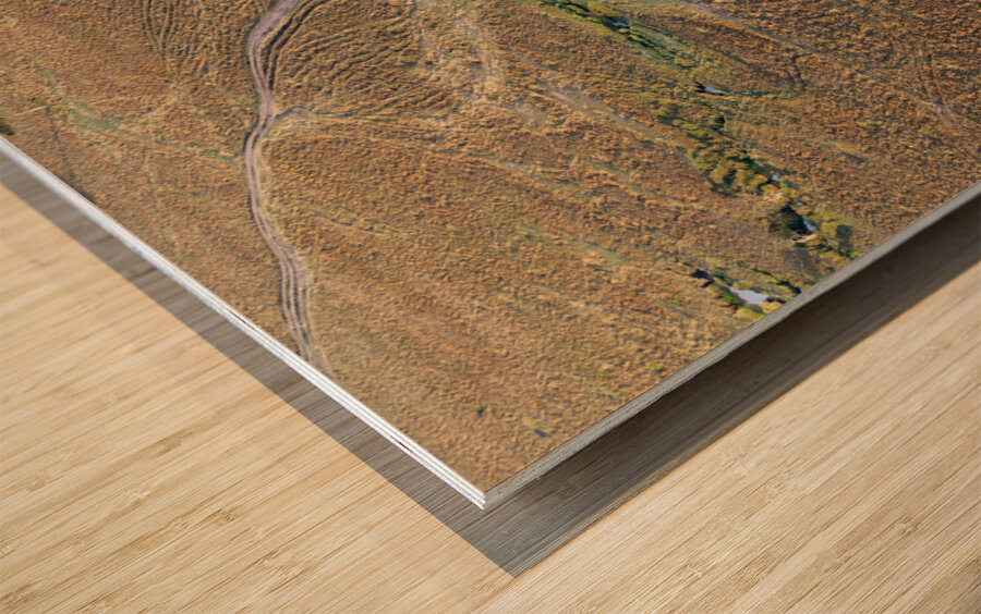  Masai Mara Valley Africa Wood print