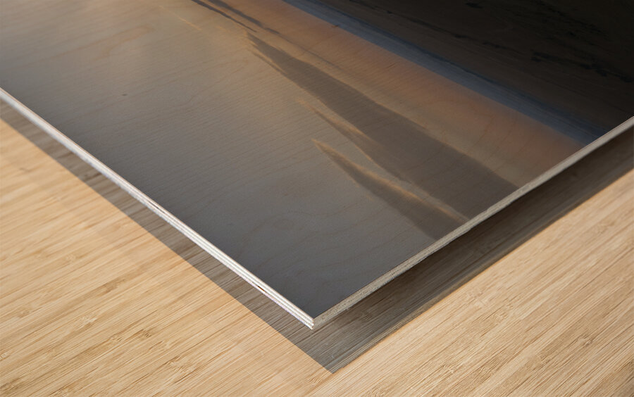 Balloons over Masai Mara Africa Wood print