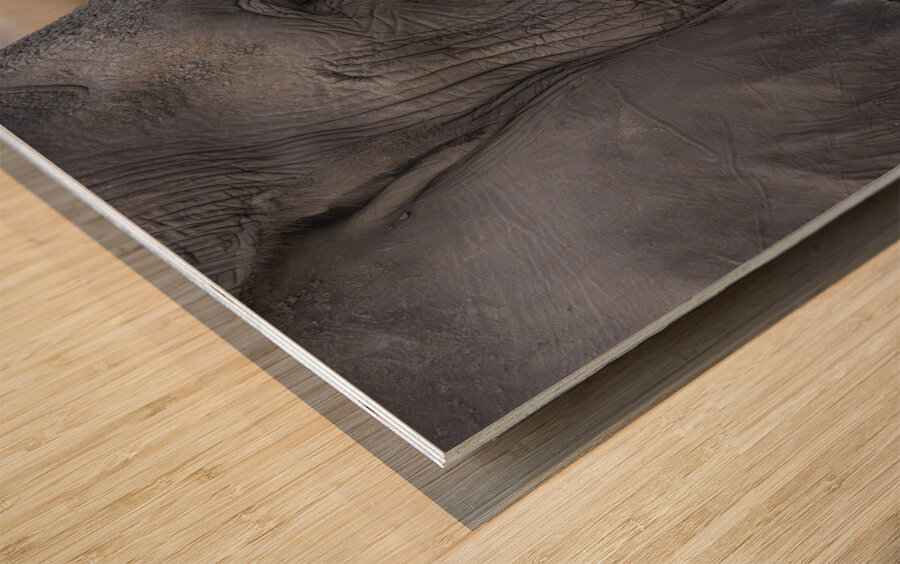 Elephant with baby Amboseli National Park Kenya  Wood print