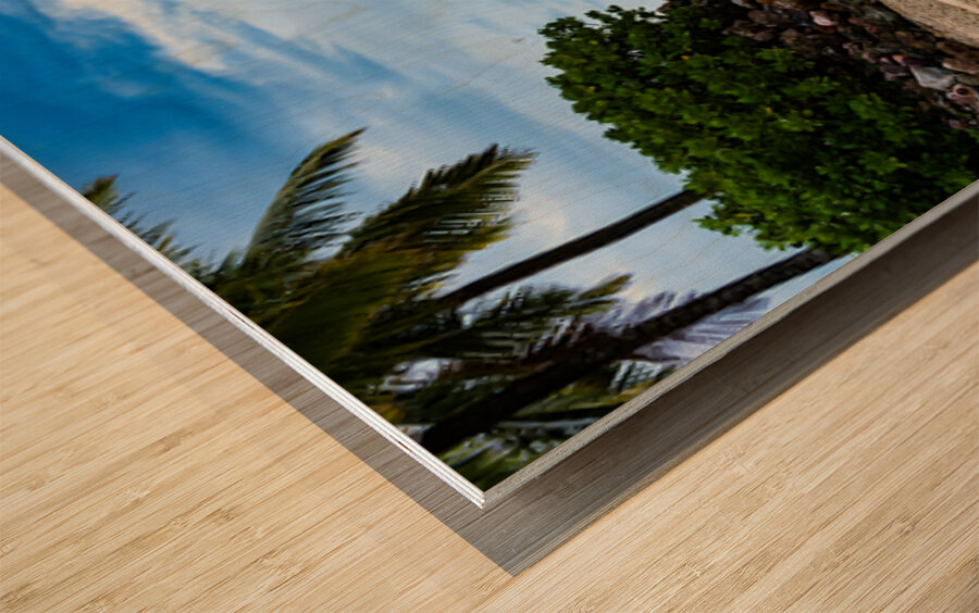 Likuliku water bungalows Wood print