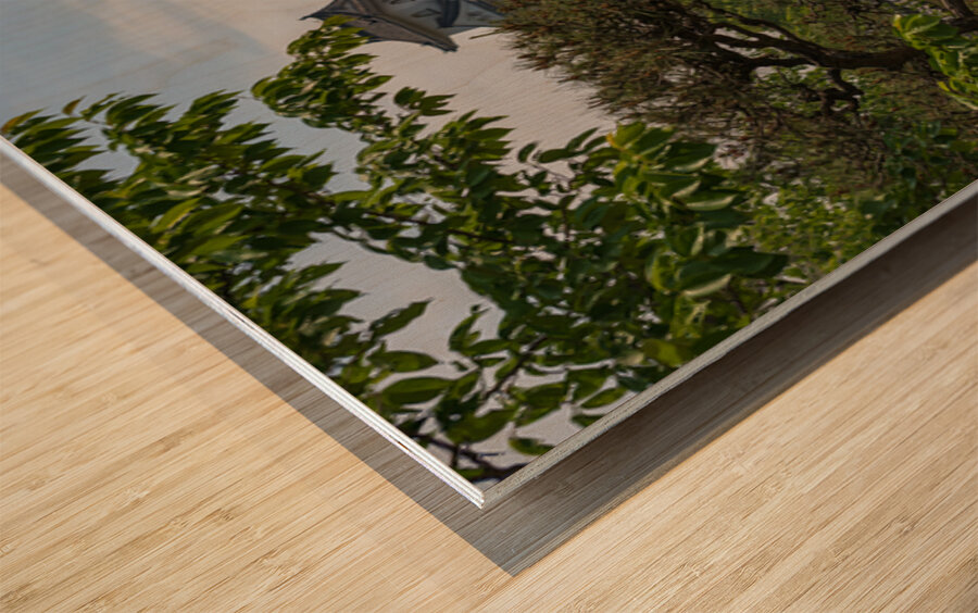 Himeji Castle Kobe Japan Wood print