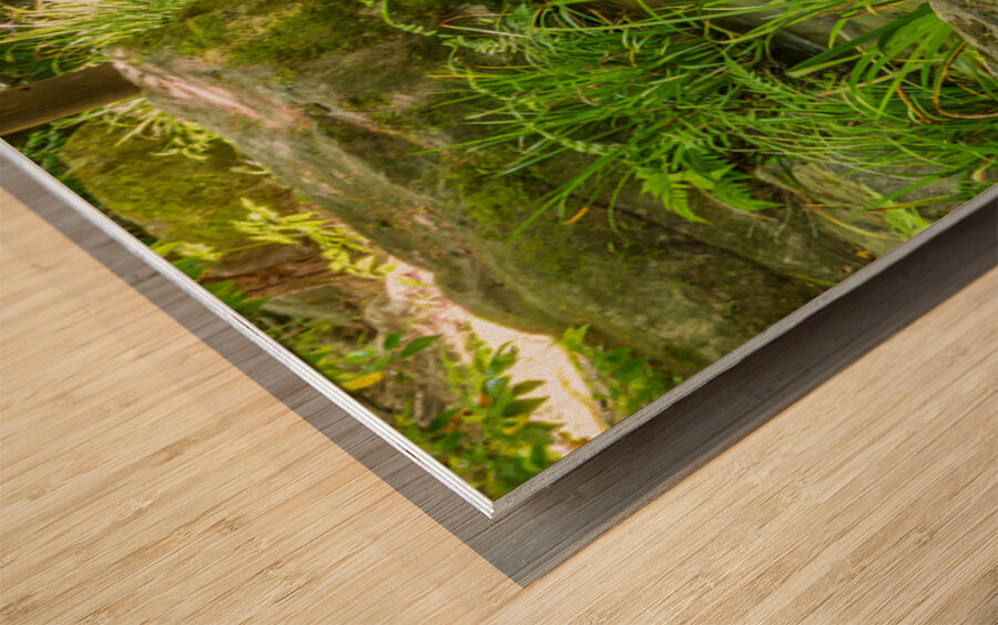 Koko-Em Gardens Kobe Japan 2 Wood print