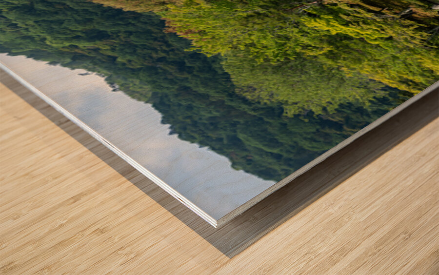 Tenryu ji Temple Gardens Kyoto Wood print