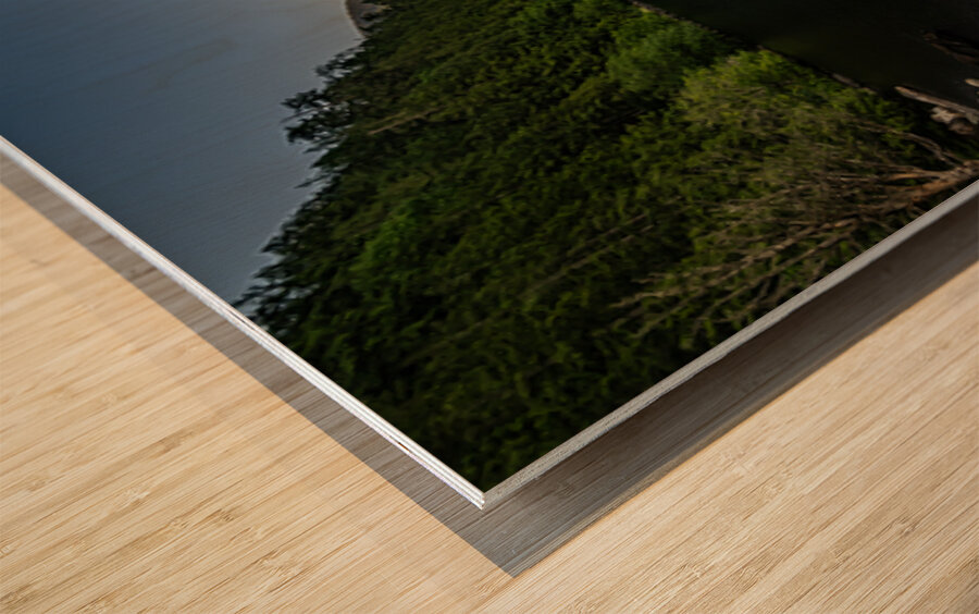 Cultus Lake British Columbia Wood print