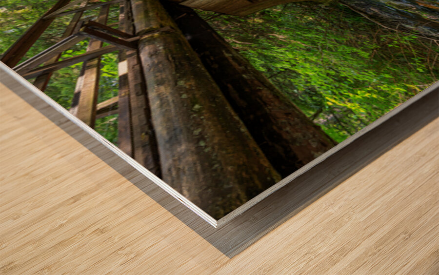 Rolley Lake falls Mission British Columbia Wood print