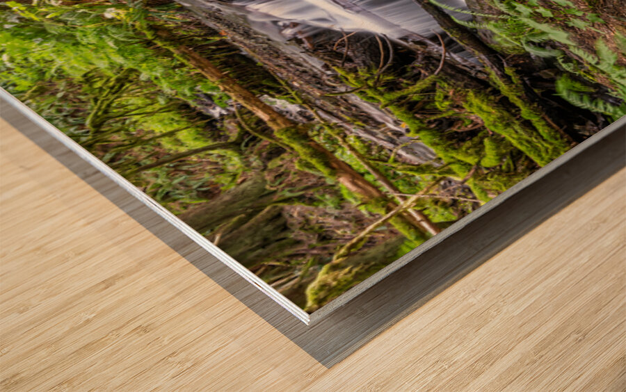 Bridal Veil Falls British Columbia Creek Wood print