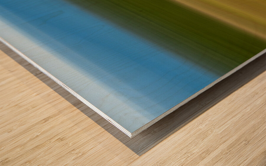  On the lake bog Houston trail Fort Langley Britsh Columbia Canada Wood print