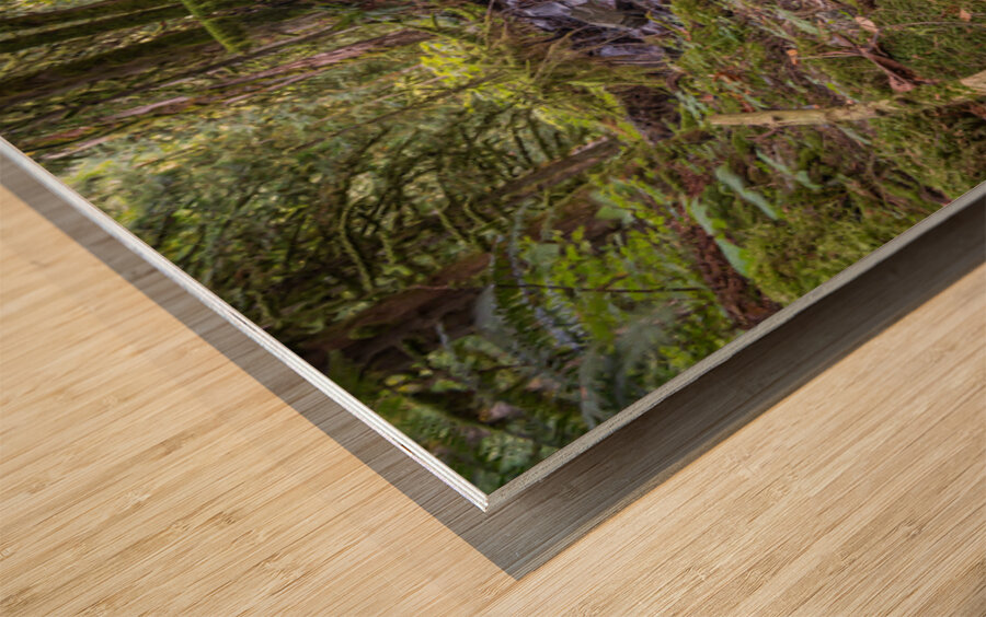 Bridal Creek Chilliwack British Columbia Wood print