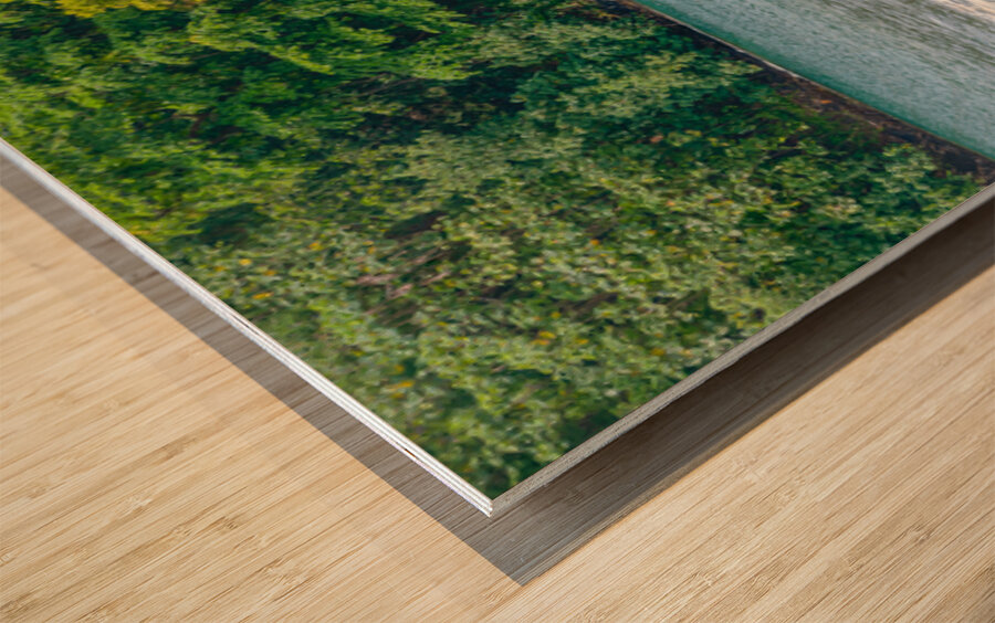 Beach at La Tahiti Pepeete Tahiti Wood print