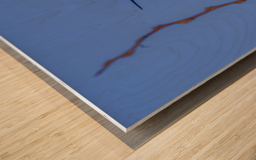 Rufous Hummingbird Wood print