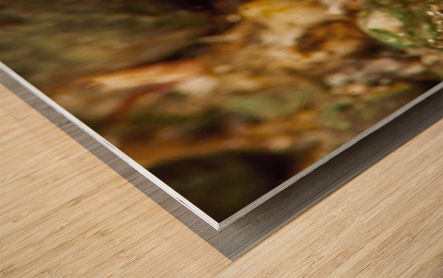 Gunnel Mukilteo Washington USA Wood print