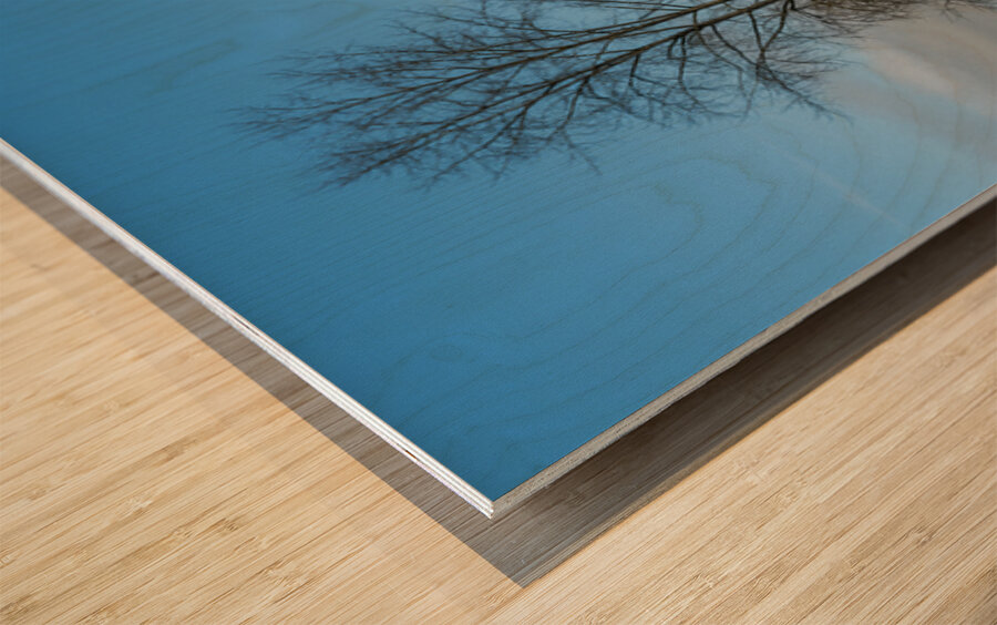 Old Farm House Glen Valley British Columbia Wood print