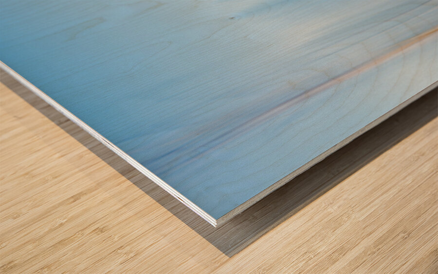 ICM of trees Wood print